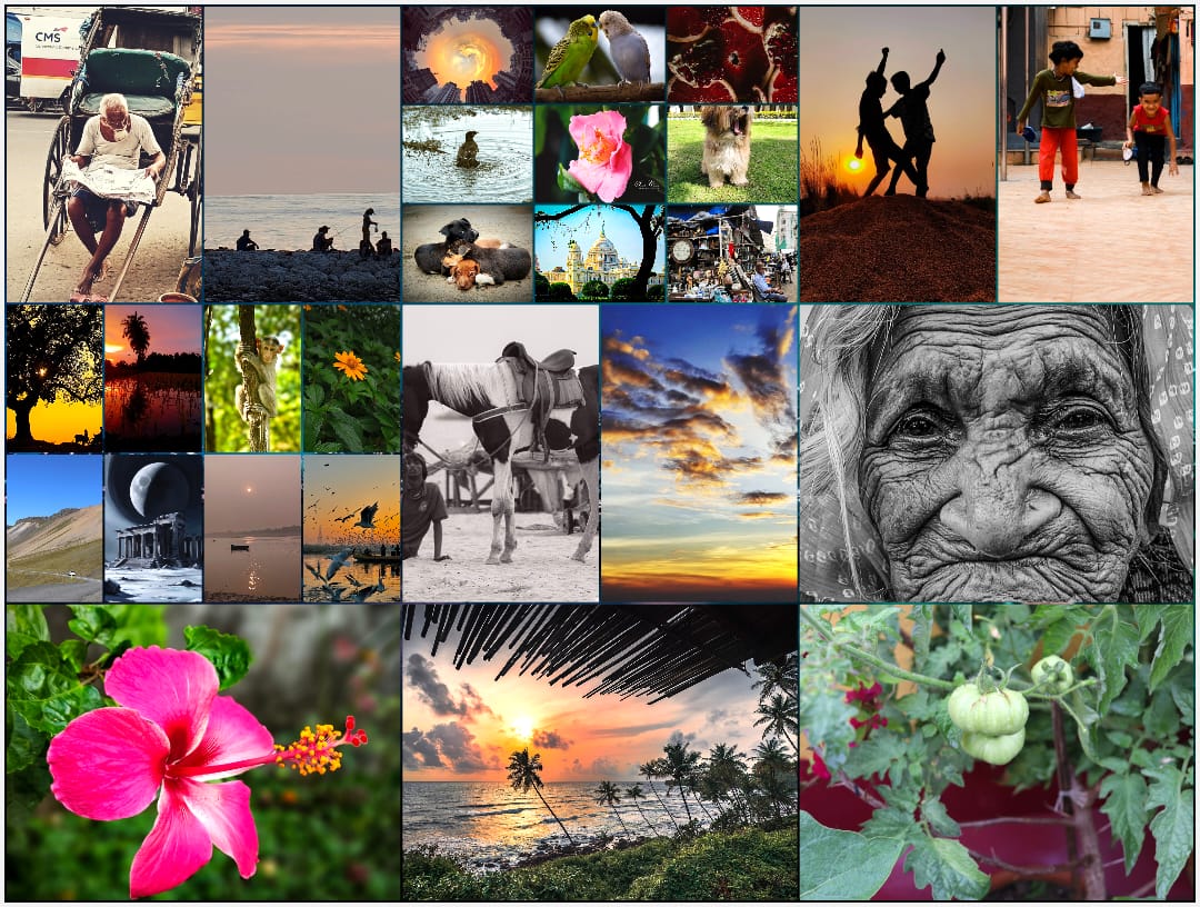 01- Photography