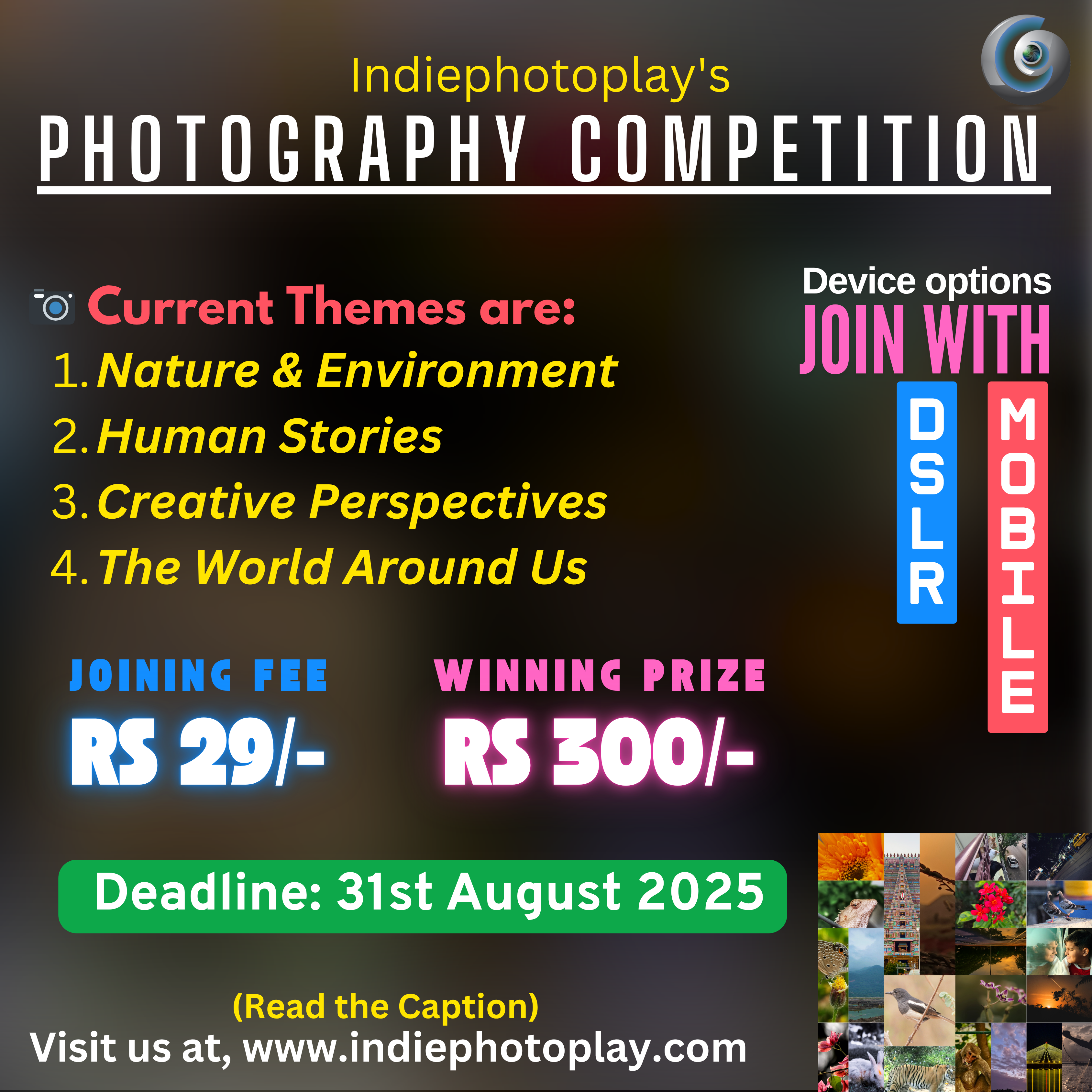 Standard Photography Competition